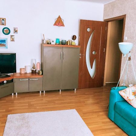 Cozy Apartment Bukovina Сучеава Екстериор снимка